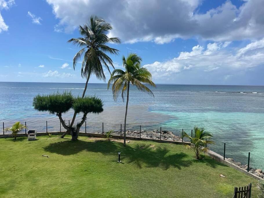 Ti Macloa - Appartement Les Pieds Dans L'Eau Sainte-Anne  Exterior photo